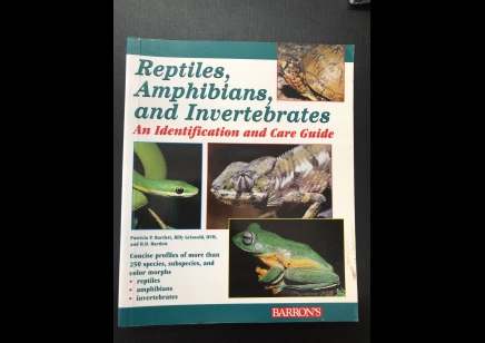 Invertebrates : Reptiles, Amphibians And Invertebrates