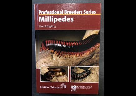 Millipedes : Professional Breeders Series : Millipedes : By Shura Sigling