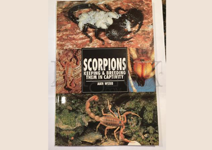 Scorpions : Scorpions Keeping & Breeding Them In Captivity