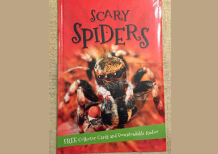 Spiders : Its All About Scary Spiders