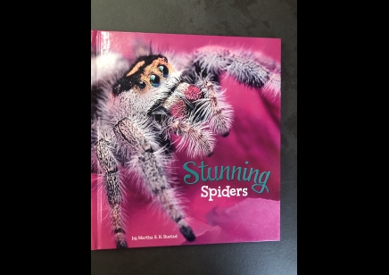 Children's Spiders : Stunning Spiders By Martha Rustad