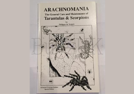 Tarantulas : Arachnomania