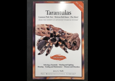 Tarantulas : Tarantulas