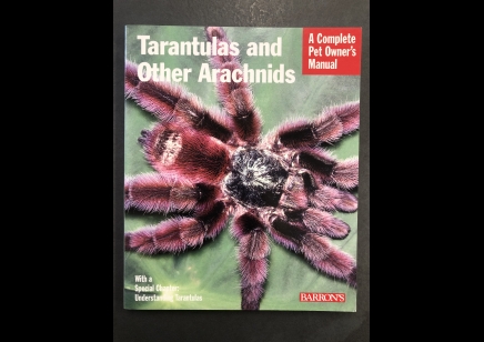 Tarantulas : Tarantulas And Other Arachnids