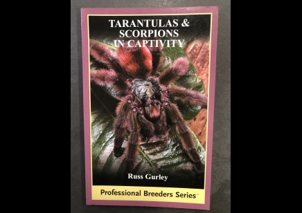 Tarantulas : Tarantulas And Scorpions In Captivity