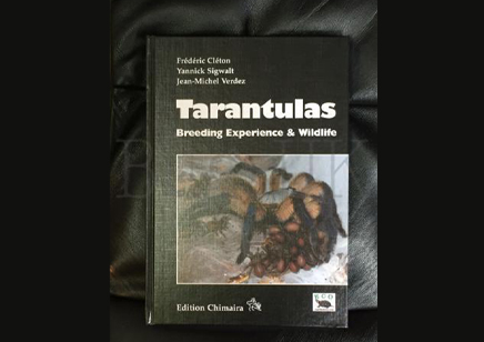 Tarantulas : Tarantulas Breeding Experience And Wildlife