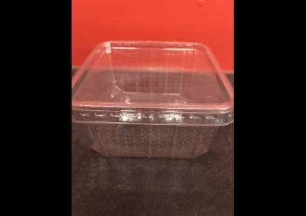 Plastic Vented Tub :11cm X 11cm X 6cm (price For 10 Tubs)