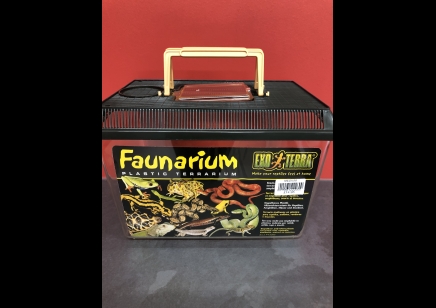 Vivarium :exo Terra Standard Faunarium Medium 