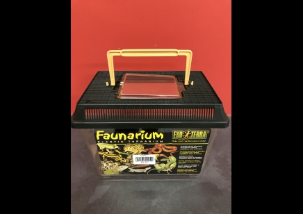 Vivarium :exo Terra Standard Faunarium Small