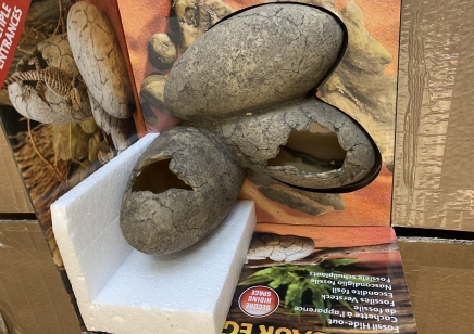 Dinosaur eggs Large