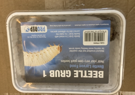 Beetle Grub Type 1 Substrate