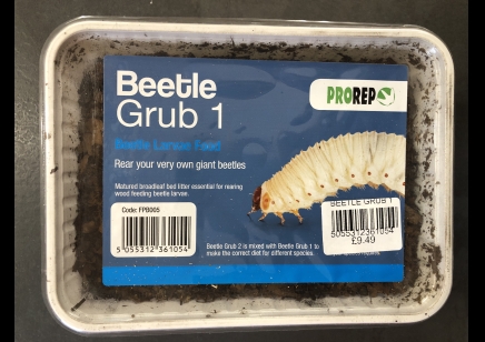 Beetle Grub Type 1 Substrate