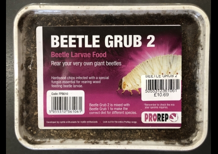 Beetle Grub Type 2 Substrate
