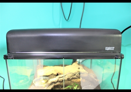 Exo Terra compact top canopy to fit 45 x 45cm viv