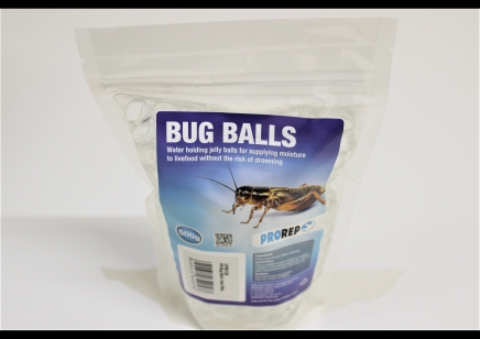 H20 water balls insect hydration clear