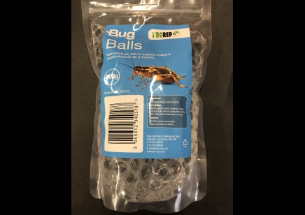 H20 water balls insect hydration clear