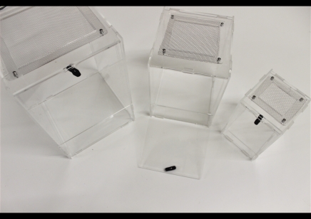 2. Acrylic Arboreal vivs