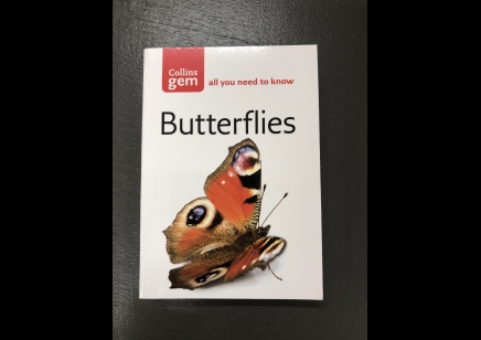 Butterflies- Collins gem