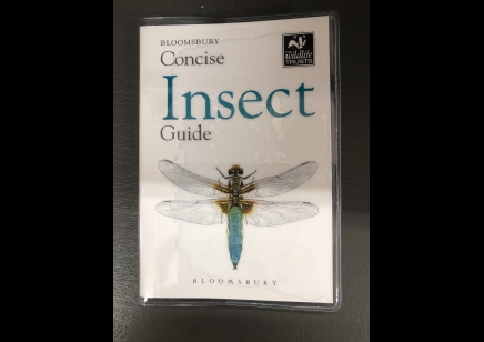  Insects: Concise Guide