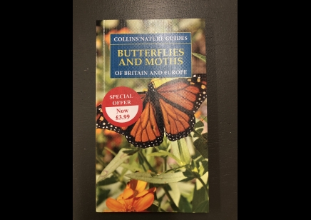  Butterflies & Moths: Collins Nature Guides