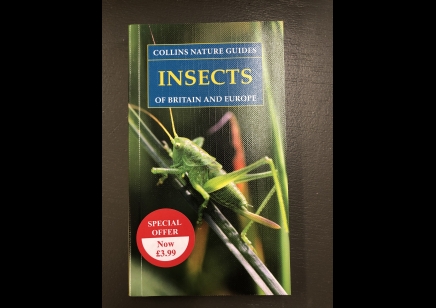 Insects: COLLINS NATURE GUIDES-  of Britain and Europe