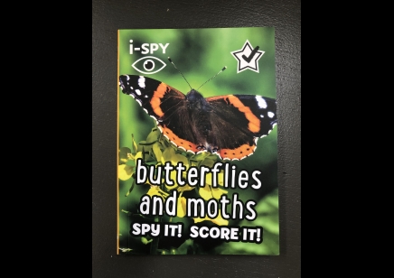 Butterflies and moths: I SPY