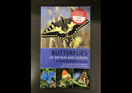 Butterflies: Bloomsbury- Great Britain & Europe- Photography guide