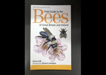  Bees: Bloomsbury Wildlife Guides- of great Britain & Ireland