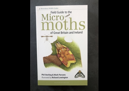 Micro Moths: Bloomsbury Field Guide of great Britain & Ireland