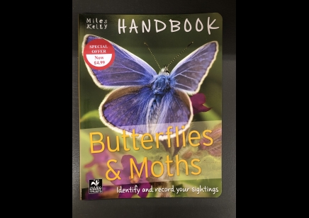 Butterflies & Moths: Miles Kelly Handbook 