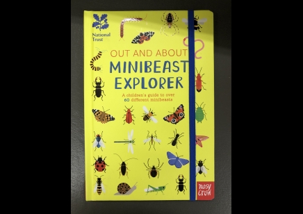 Children's Insects: National Trust- Minibeasts Explorer