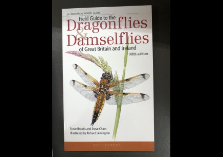 Dragonflies & Damselflies: Bloomsbury Field Guide to the of great Britain & Ireland