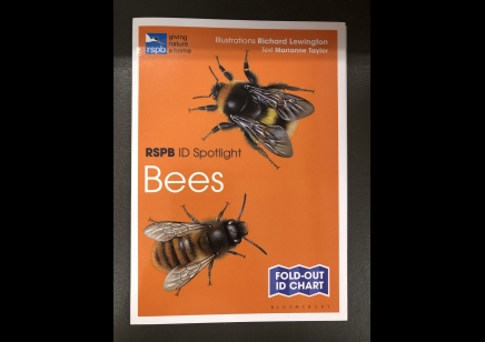 BEES: RSPB ID spotlight 