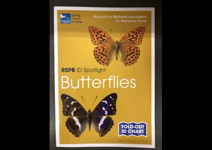  Butterflies: RSPB ID spotlight