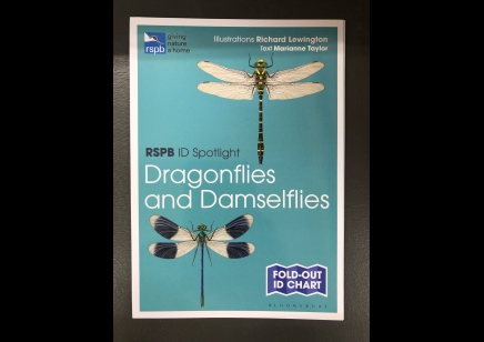 Dragonflies and Damselflies: RSPB ID spotlight 