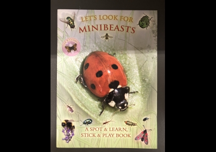 Childrens: LET'S LOOK FOR MINIBEASTS- Spot & Learn Stick & Play Book