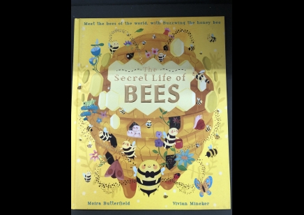 Children: The secret life of Bees by moira butterfield & Vivian Mineker