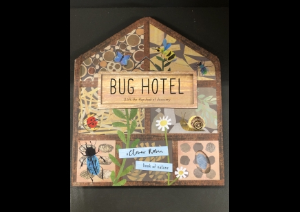 Children: Bug Hotel- A lift- the- flap book of discovery