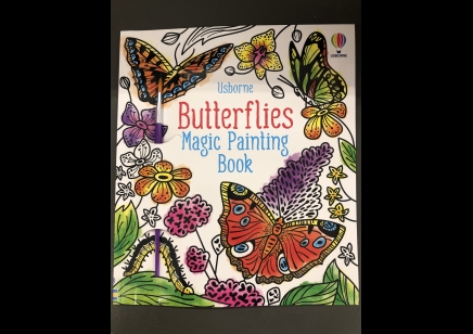 Childrens: Butterflies magic painting