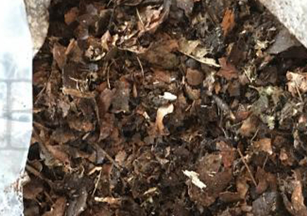 1:Decayed Leaf Litter (4 Ltre)