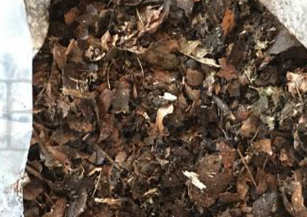 1:Decayed Leaf Litter (4 Ltre)