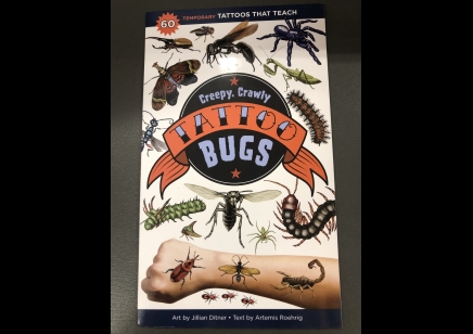 Children: Tattoo Book of Bugs