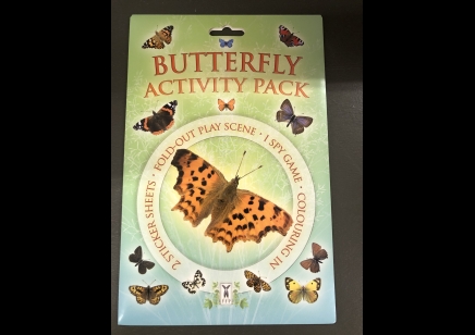 Children: Butterfly Activity Pack- Fold out Play Scene- Stickers & Colouring