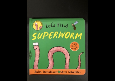 Children: Let's find Superworm A Lift-a-flap Book