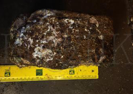 1:Shitake Mushroom Block