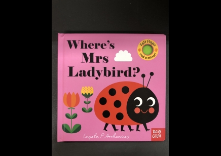 Children: Where's Mrs Ladybird? felt flaps and mirror book