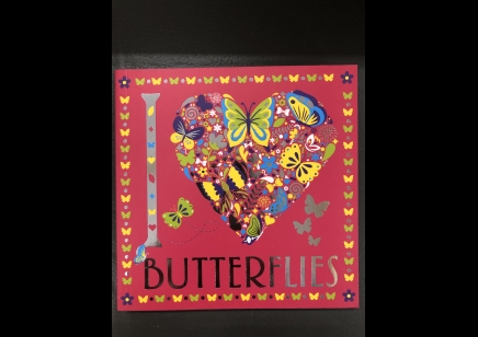 Children: I Love Butterflies Colouring book