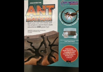 Funtime: Ant Nation Build your own Ant colony (5yrs plus)