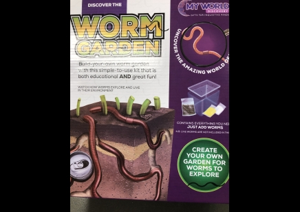 Funtime:  Build your own Worm Garden (5yrs plus)