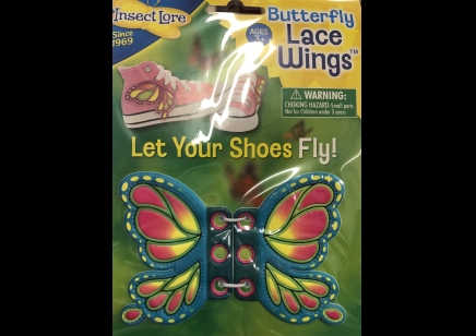 Insect Lore: Butterfly Lace Wings Blue/pink (3yrs plus)